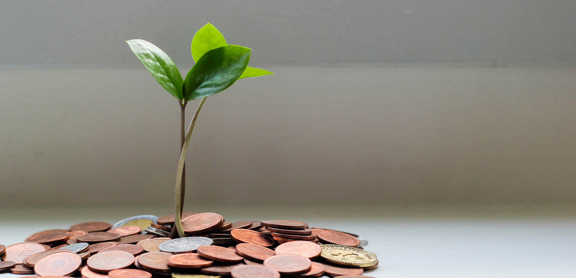 Pflanze die aus Geld wächst DIN ISO 9001