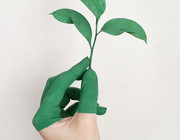 Grün eingefärbte Hand die eine Pflanze nach oben hält