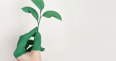 Grün eingefärbte Hand die eine Pflanze nach oben hält